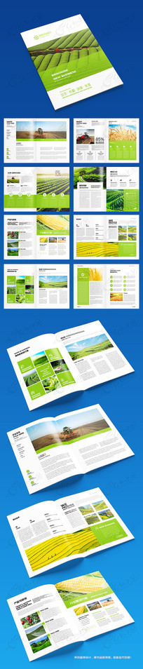 ��ɫʳƷ����ģ��