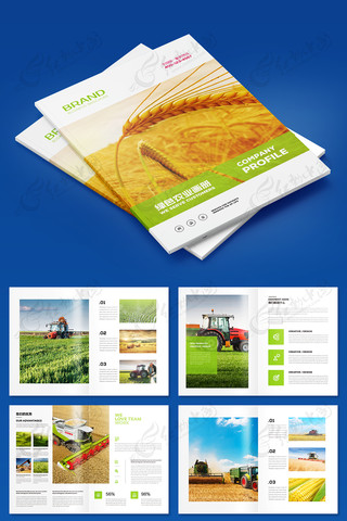 ��ɫũҵ����ģ�� AI