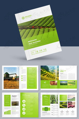 ��ɫʳƷ����ģ�� AI