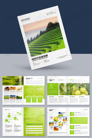 ũ��Ʒ������ģ�� AI