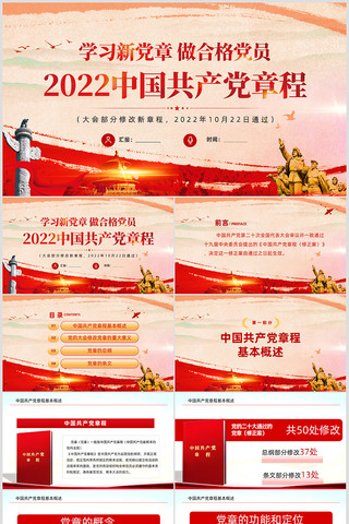 新党章做合格党员中国共产党章程党建ppt 新党章做合格党员中国共产党章程党建ppt