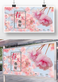 ɫΨ紺չ