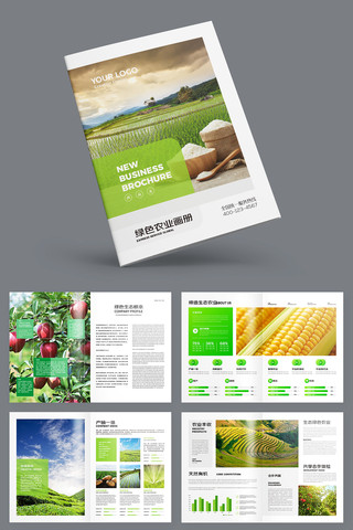 大气农业画册 大气农业画册
