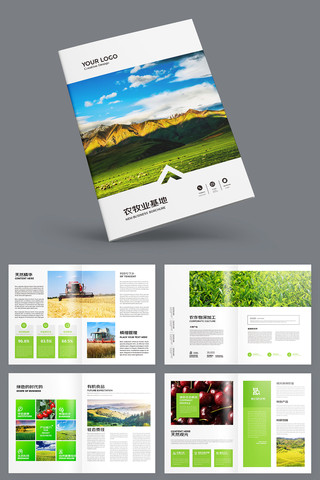 农产品宣传册 农产品宣传册
