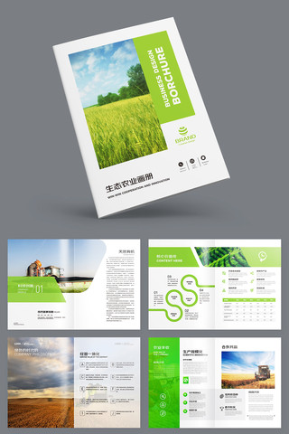 农产品宣传册 农产品宣传册