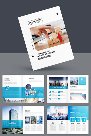 蓝色集团宣传册 蓝色集团宣传册