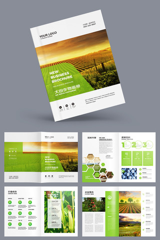 绿色农产品画册 绿色农产品画册