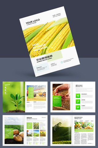 有机农产品画册 有机农产品画册