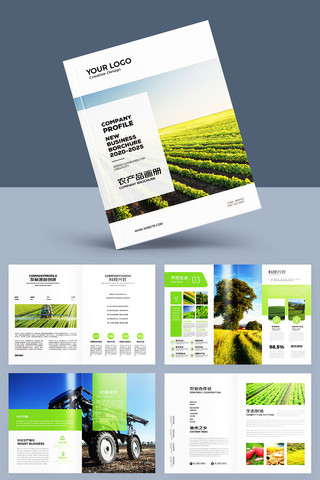 绿色农产品宣传册 绿色农产品宣传册