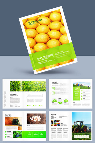 绿色农业宣传册 绿色农业宣传册