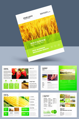 农产品画册 农产品画册