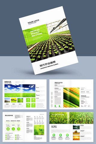 农业画册 农业画册