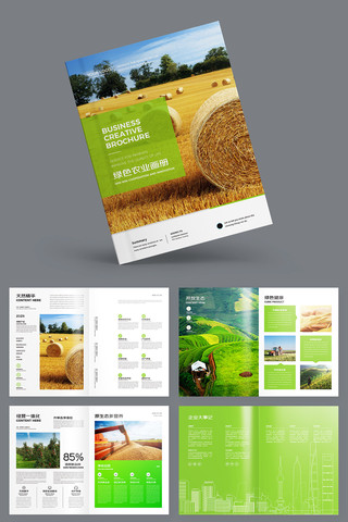 绿色农业宣传册 绿色农业宣传册