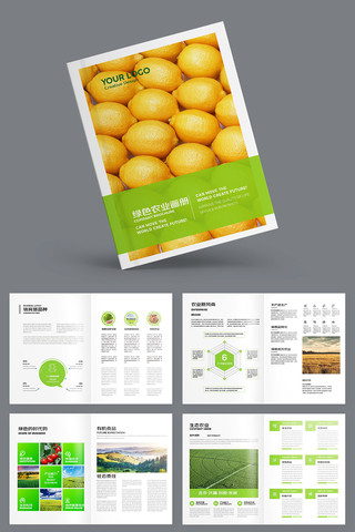 农产品画册 农产品画册