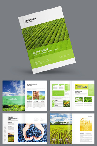 农产品宣传册 农产品宣传册