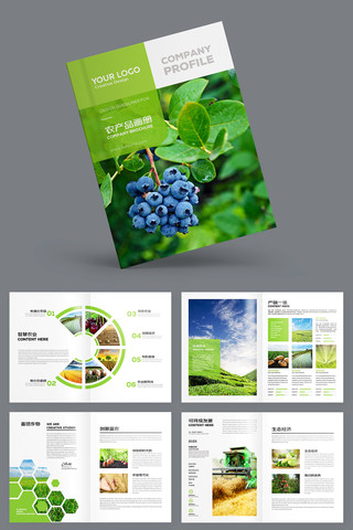 农产品宣传册 农产品宣传册