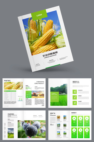 农业合作社画册 农业合作社画册