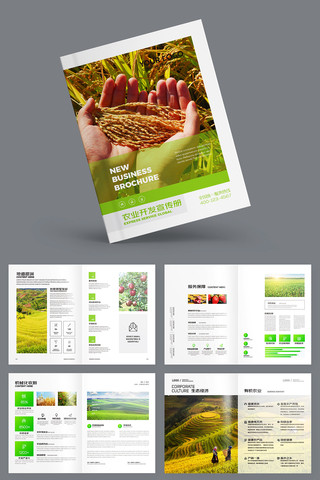 有机农产品画册 有机农产品画册