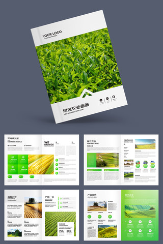 乡村振兴画册 乡村振兴画册