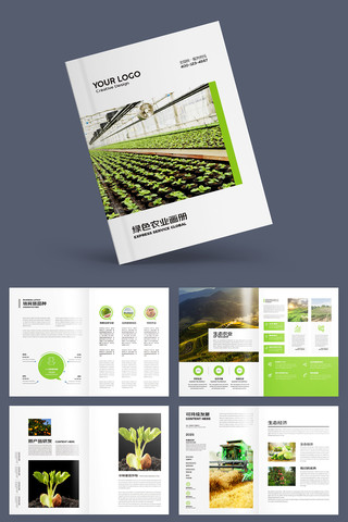 乡村振兴画册 乡村振兴画册