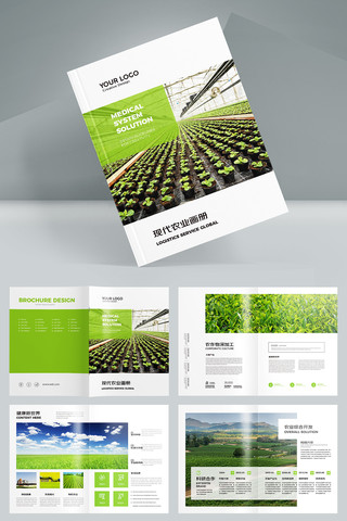 合作社画册 合作社画册