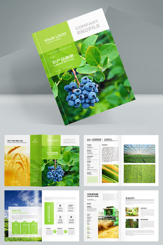 绿色农业宣传册 绿色农业宣传册