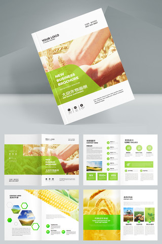 农产品宣传册 农产品宣传册