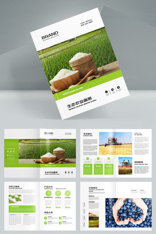 农业合作社宣传册 农业合作社宣传册