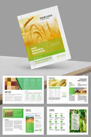 大气农业画册 大气农业画册