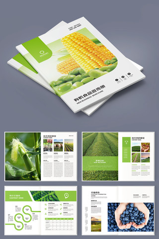 合作社画册 合作社画册