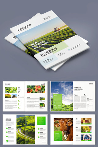 ��ɫũ��Ʒ���� AI