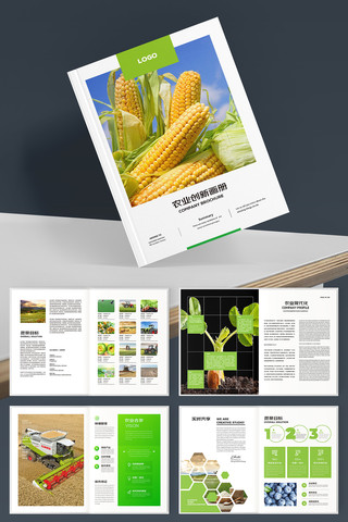 绿色农产品宣传册 绿色农产品宣传册