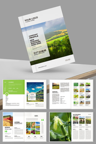 绿色农产品宣传册 绿色农产品宣传册