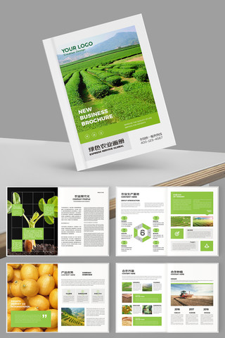农产品宣传册 农产品宣传册