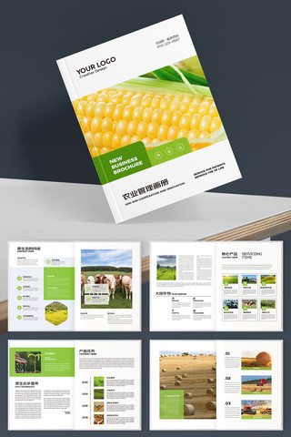 农业合作社画册 农业合作社画册