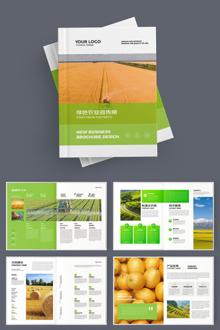 农产品宣传册 农产品宣传册