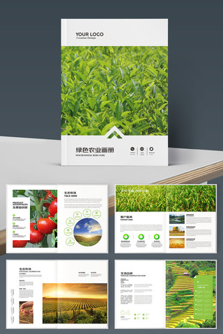 ��ɫũ��Ʒ������ AI