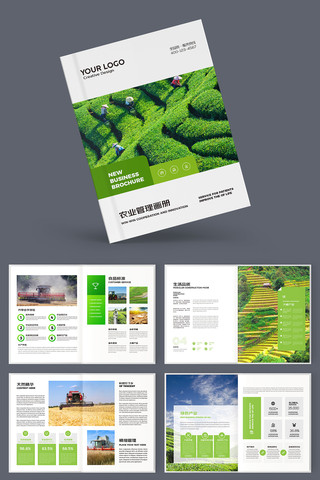 合作社画册 合作社画册