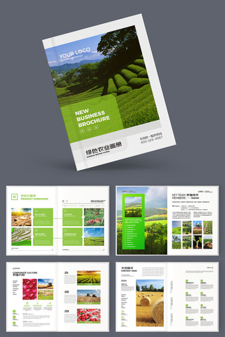 农产品画册 农产品画册