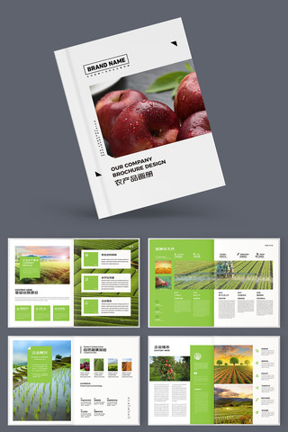 乡村振兴画册 乡村振兴画册