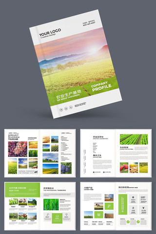 合作社画册 合作社画册