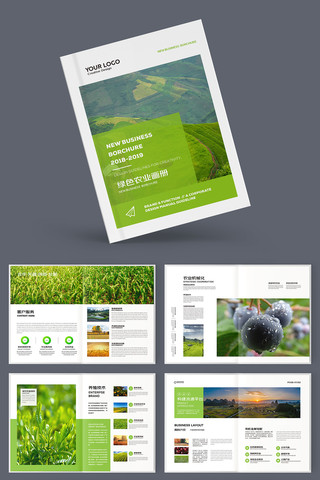 农业合作社宣传册 农业合作社宣传册