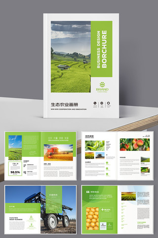 乡村振兴画册 乡村振兴画册