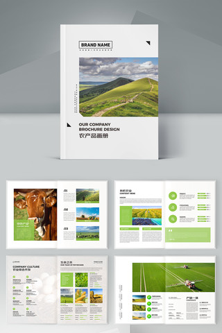 ũ��Ʒ���� AI