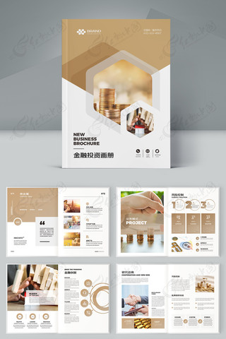 ��ɫͶ�ʻ���