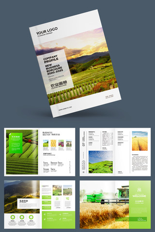 �����续�� AI