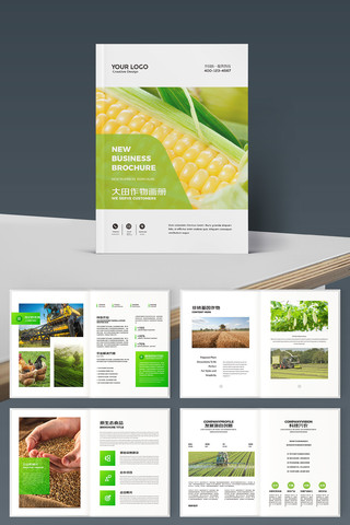 �����续�� AI