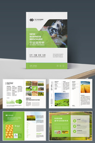 ��ɫũ��Ʒ���� AI