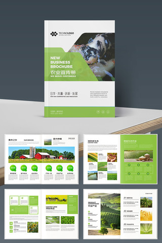 ��ɫũ��Ʒ���� AI