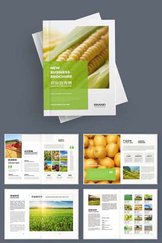 ��ɫũ��Ʒ������ AI